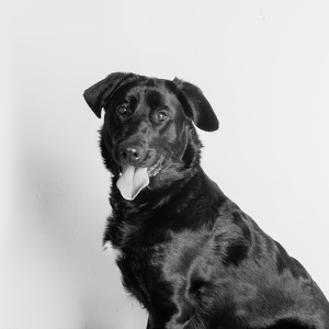 Fundraising Page: Lola Graetz